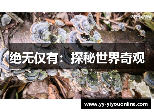 绝无仅有：探秘世界奇观